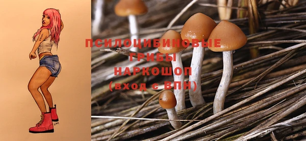 дмт Новодвинск