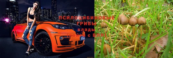 a pvp Баксан
