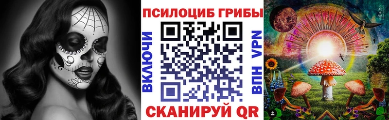 Псилоцибиновые грибы Psilocybe  купить  цена  блэк спрут онион  Сегежа 