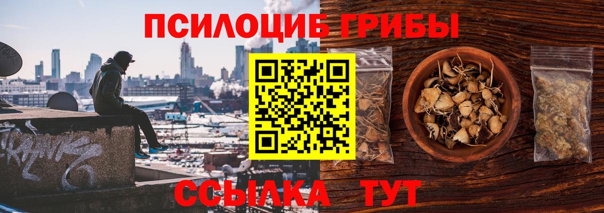 Галлюциногенные грибы Magic Shrooms Сегежа